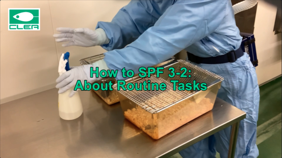 How to SPF 3-2:About Routine Tasks