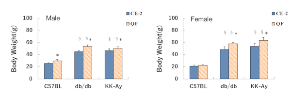 Body weight of KK-Ay mice for DKD model