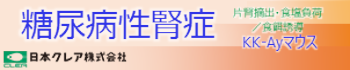 KK-Ayマウス 糖尿病性腎症モデル（片腎摘出・食塩負荷／食餌誘導）として