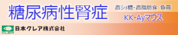 KK-Ayマウス 糖尿病性腎症モデル（高ショ糖・高脂肪食 負荷）として