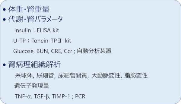 測定項目の内容