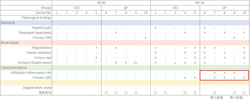 雄 db/db, KK-Ay マウス腎病理組織解析