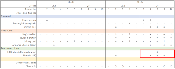 Kidney histopathological assessment in female db/db and KK-Ay mice