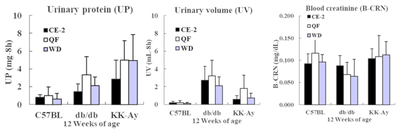 Urinary protein