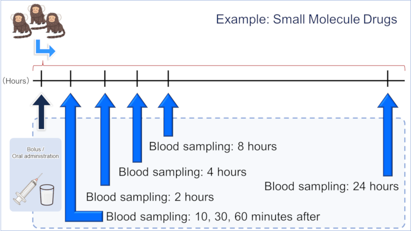 Small Molecule Drugs