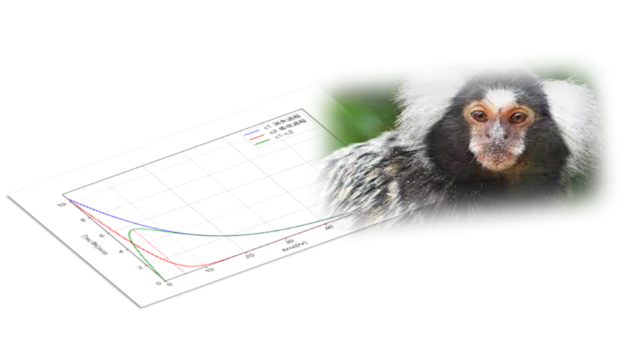 Affordable / immediate execution of non-human primate (NHP) pharmacokinetics (PK) research by marmosets that would avoid struggling from other NHP supply.