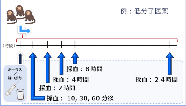 低分子医薬