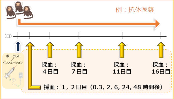 抗体医薬