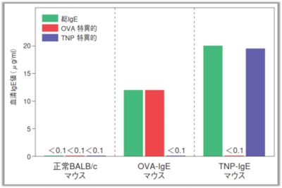 恒常的なアレルゲン特異的IgEの安定産生