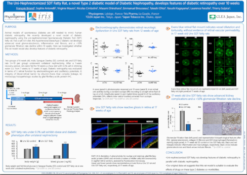 ARVO 2018 SDT fatty rat Poster