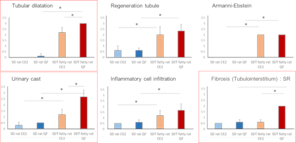 Histopathological findings (Tubule / Tubulointerstitial score)