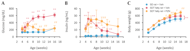 Biochemical Parameters of SDT fatty rat for DPN model