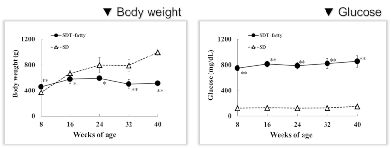Body weight and Glucose