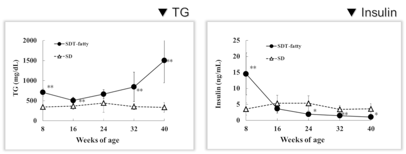 TG and Insulin