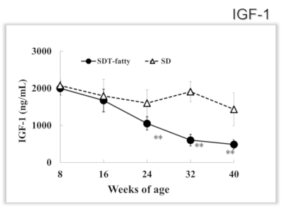 mRNA expression of Astrogin-1 and Murf-1 in EDL muscle