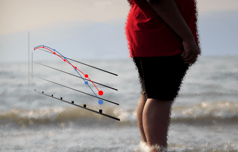 Secondary Sarcopenia: SDT fatty rat, spontaneous type 2 diabetic animal model