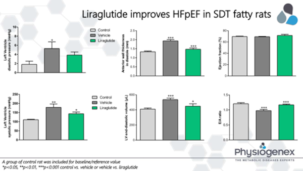 Liraglutide improves HFpEF in SDT fatty rats