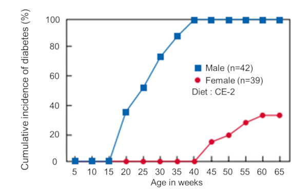 Figure-1 . Cumulative incidence of diabetes in SDT rats
