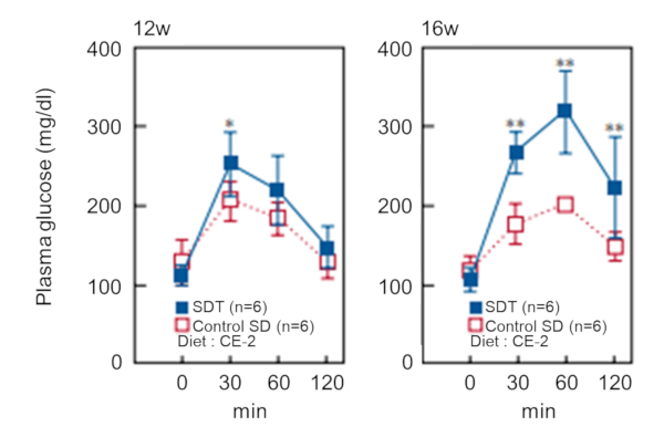 Figure-4 . Plasma glucose levels of male SDT rats (12 weeks of age, 16 weeks of age) from OGTT (＊P<0.05, ＊＊ P<0.01)