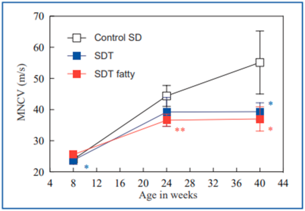 Figure-7 . Changes in MNCV of male SDT fatty rats (＊P<0.05, ＊＊ P<0.01)