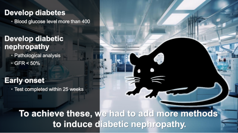 To achieve these, we had to add more methods  to induce diabetic nephropathy.