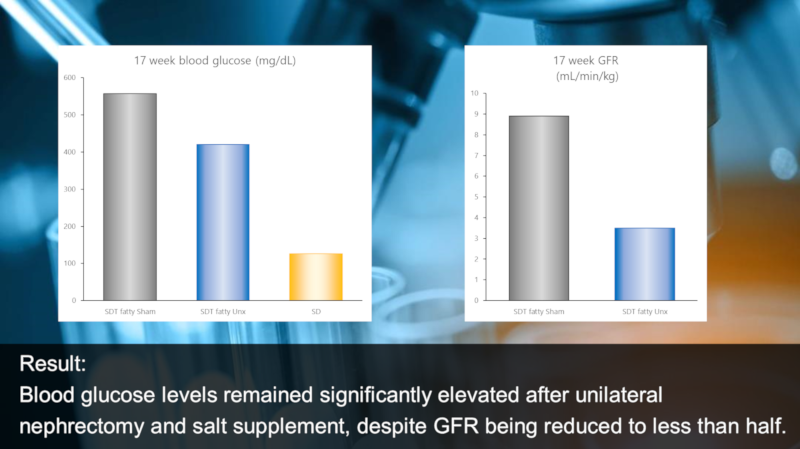Result:  Blood glucose levels remained significantly elevated after unilateral nephrectomy and salt supplement, despite GFR being reduced to less than half.
