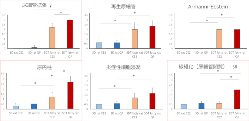 尿細管・尿細管間質スコア（尿細管拡張・尿円柱・線維化(尿細管間質)：SR）