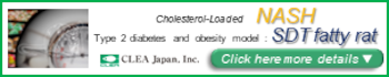 By cholesterol loading, Obesity type 2 diabetes model SDT fatty rats shows human-like NASH pathology characteristics after 24 weeks of age.