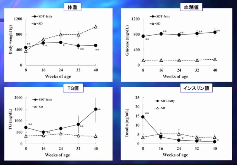 結果：体重、血液生化学パラメータ