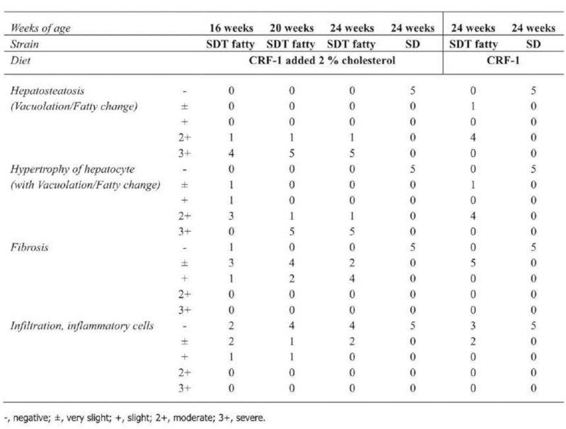 Histopathological findings in the liver of each group