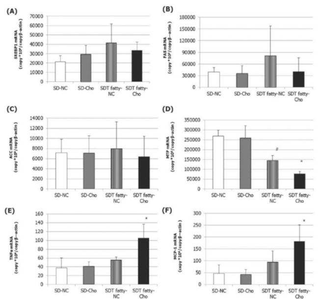 Neutral fat of liver A