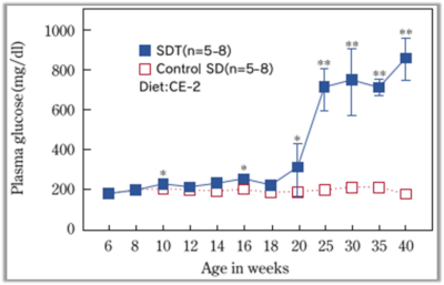 雄SDTラットの非絶食時の血糖値
