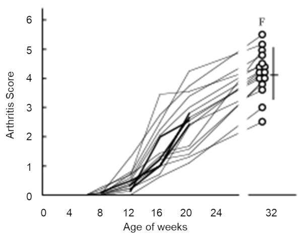 Fig.2 Progressive changes in joint swelling