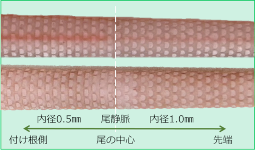 尾表面の質感 （上：模擬血液有り、下：模擬血液無し）