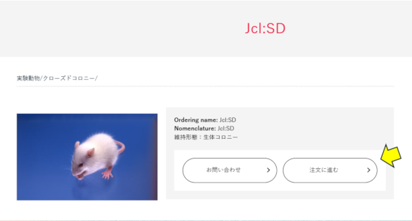 クレアHP画面:実験動物Jcl:SD