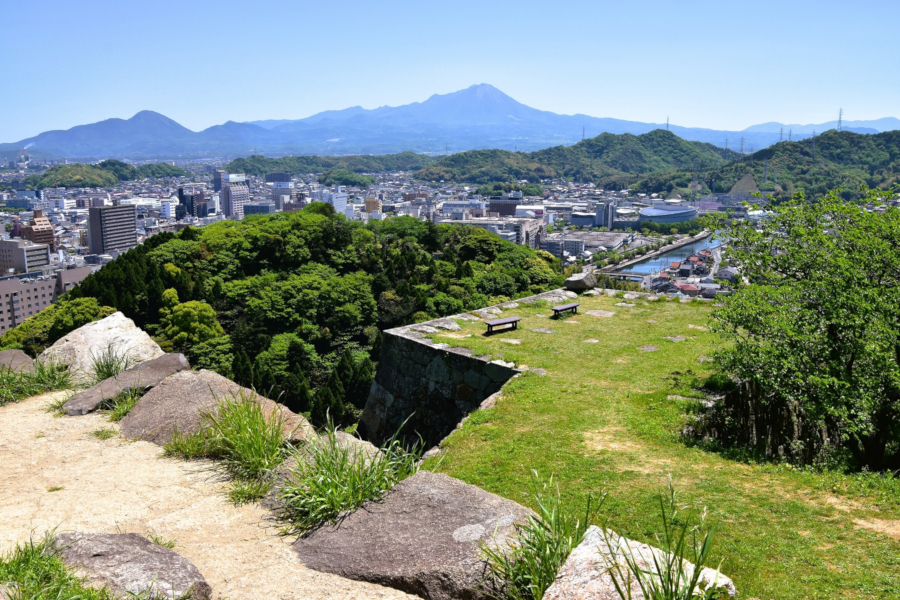 CLEA Japan Academic Presentation Archive (学術発表アーカイブ)：第59回 日本実験動物技術者協会総会:October 23-25, 2025 米子コンベンションセンターBIG SHIP Yonago, Okayama