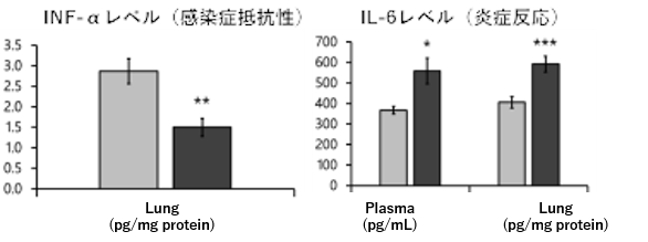 Decreasing lung Inf-arpha / Increasing Inflammatory IL-6 cytokine