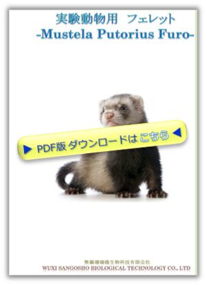 ferret_pdf_thumbnail.png