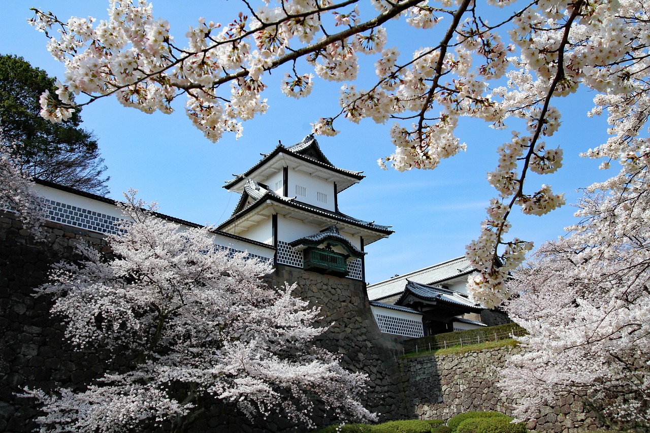 CLEA Japan Academic Presentation Archive (学術発表アーカイブ):第84回日本癌学会学術総会 : September 25–27, 2025 ANAクラウンプラザホテル金沢3F Kanazawa, Ishikawa, Japan