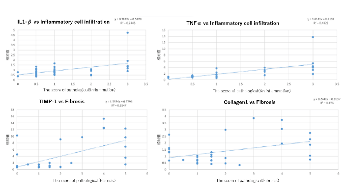 Correlation diagram (Pathology-Genes)