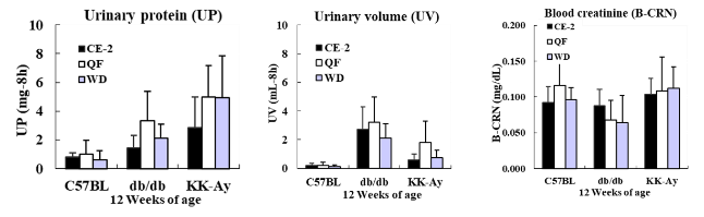 Urinary protein