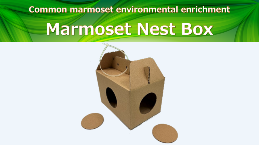 Common Marmoset Environment Enrichment | Marmoset Nest Box