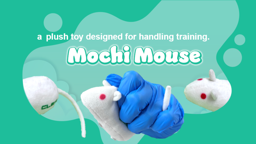 Introducing Mochi Mouse: Your First Step in Animal Handling