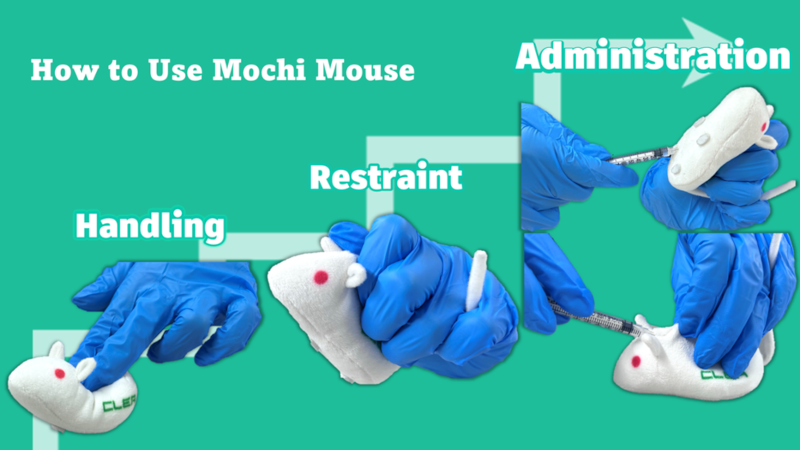 mochi_mouse_eng_002
