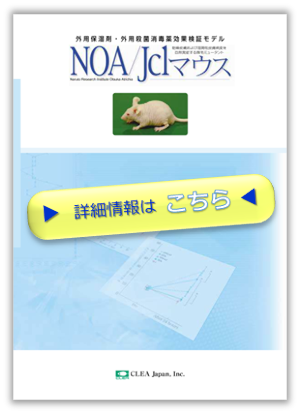 noa_pdf_thumbnail.png