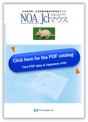 noa_pdf_thumbnail_e.png