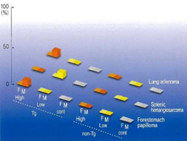 Fig.3 Administration of non-carcinogen-typical example