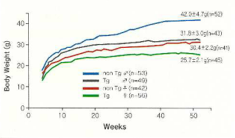 Growth curve of CB6F1-Tg rasH2 and non-Tg mice