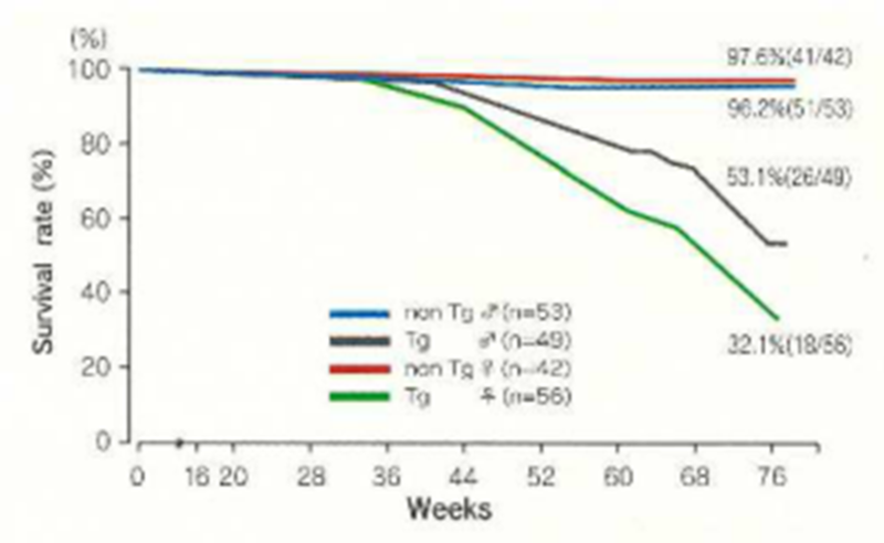 Survival rate of CB6H-Tg rasH2 and non-Tg mice