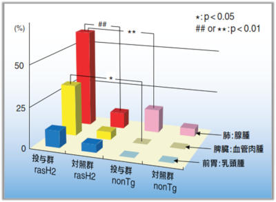 遺伝毒性発がん物質投与